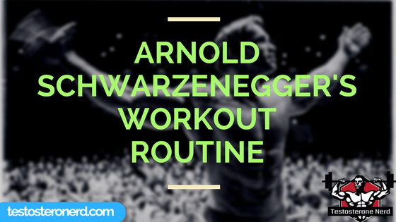 Arnold Schwarzenneger workout routine